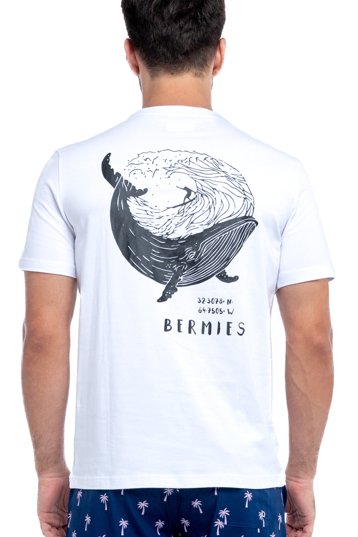 Whale by Bermies