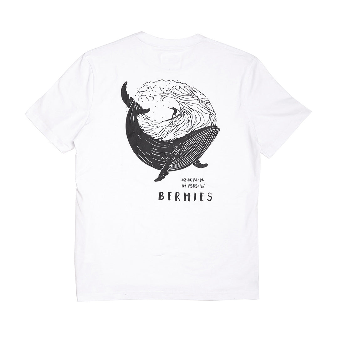 Whale by Bermies